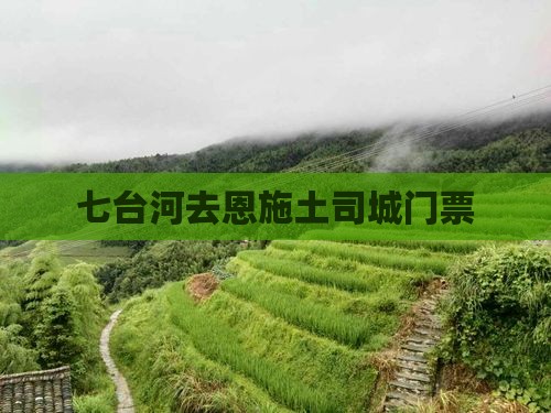 七台河去恩施土司城门票