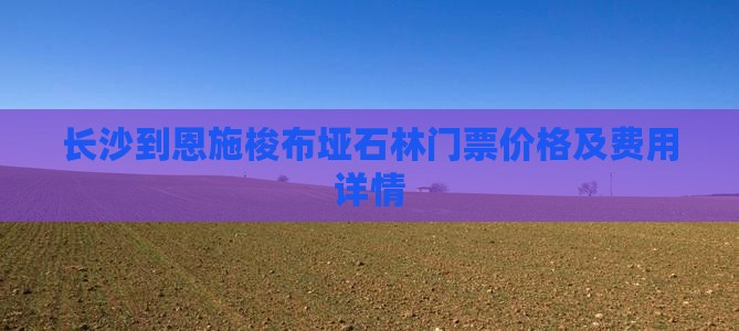 长沙到恩施梭布垭石林门票价格及费用详情
