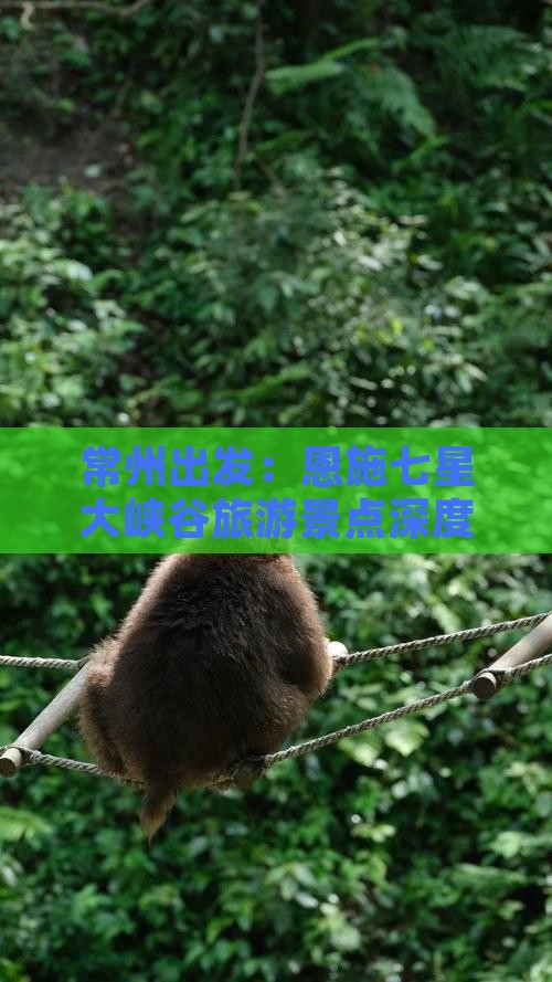 常州出发：恩施七星大峡谷旅游景点深度攻略