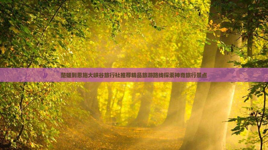 楚雄到恩施大峡谷旅行社推荐精品旅游路线探索神奇旅行景点