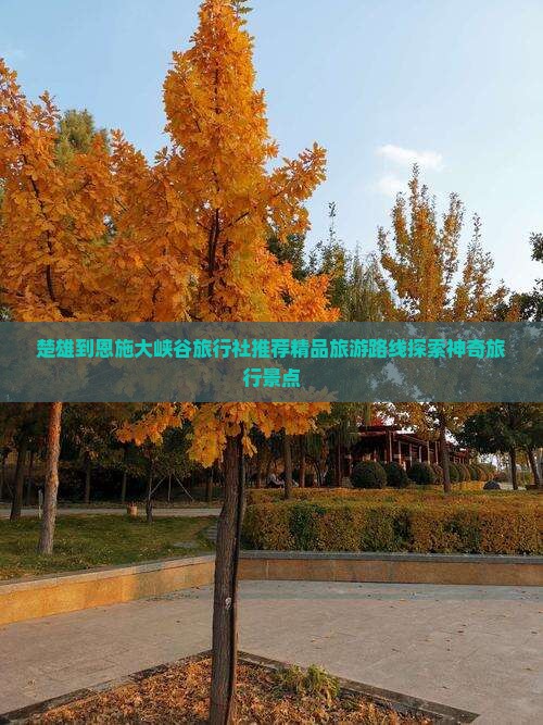 楚雄到恩施大峡谷旅行社推荐精品旅游路线探索神奇旅行景点