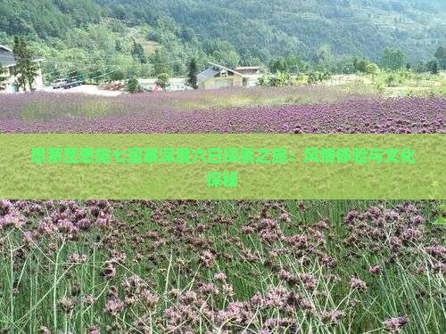 思茅至恩施七星寨深度六日探索之旅：风情体验与文化探秘