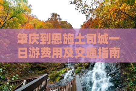 肇庆到恩施土司城一日游费用及交通指南