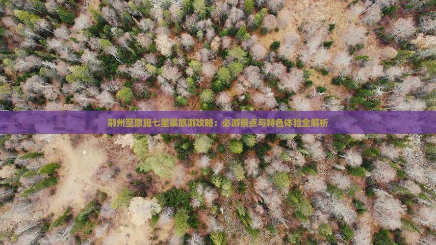 荆州至恩施七星寨旅游攻略：必游景点与特色体验全解析