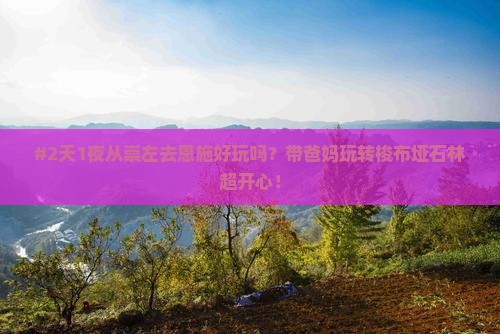 崇左到恩施梭布垭石林二日游
