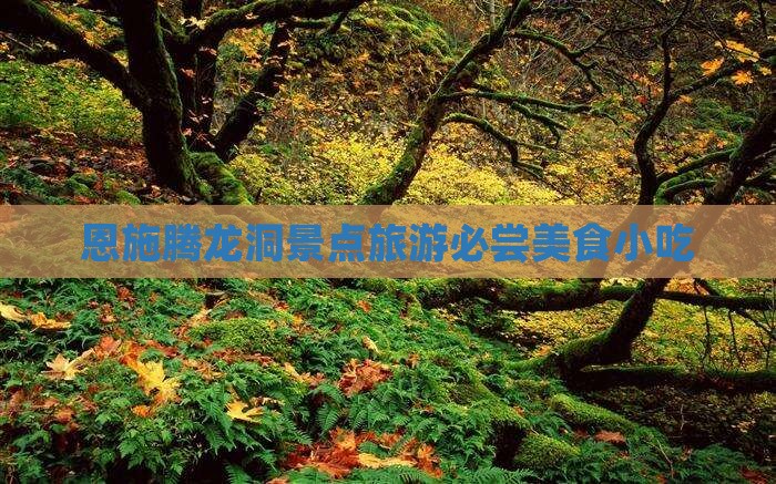 七月去恩施腾龙洞旅游小吃
