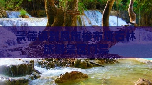 景德镇去恩施梭布垭石林门票