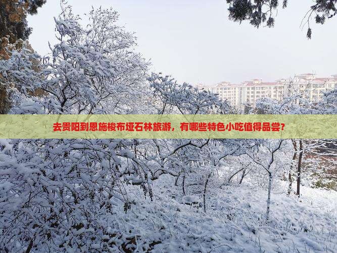 贵阳到恩施梭布垭石林旅游小吃