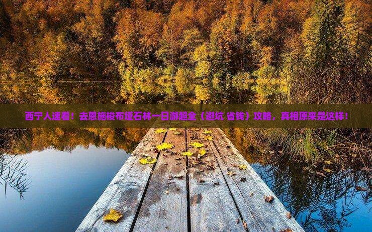 西宁去恩施梭布垭石林一日