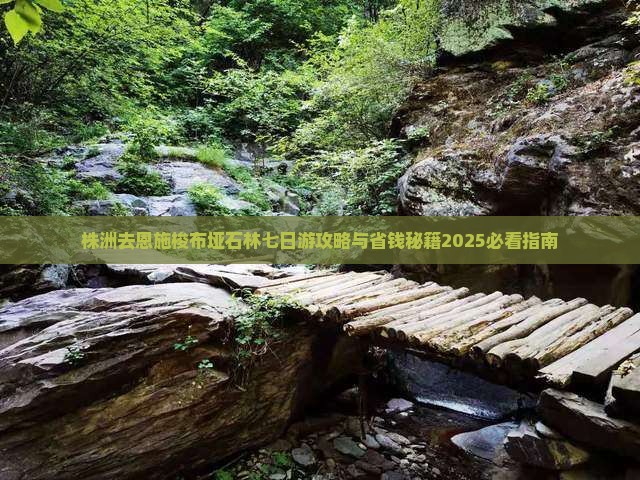 株洲去恩施梭布垭石林七日游