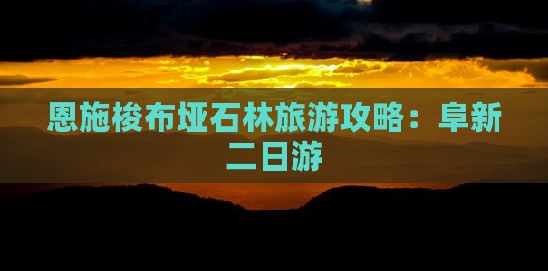 阜新去恩施梭布垭石林二日游