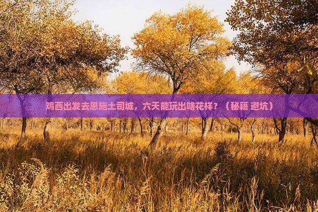鸡西到恩施土司城六日游