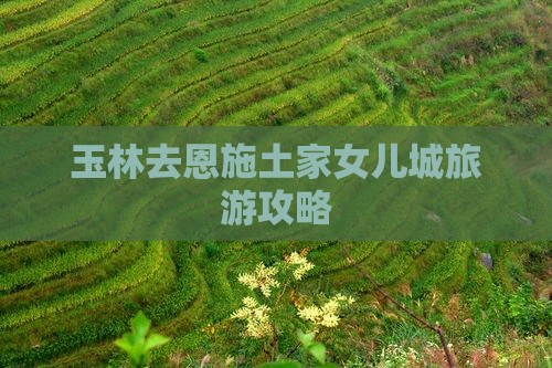 玉林去恩施土家女儿城旅游