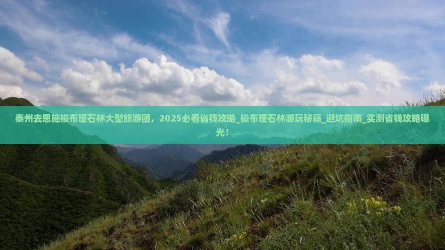 泰州去恩施梭布垭石林大型旅游团