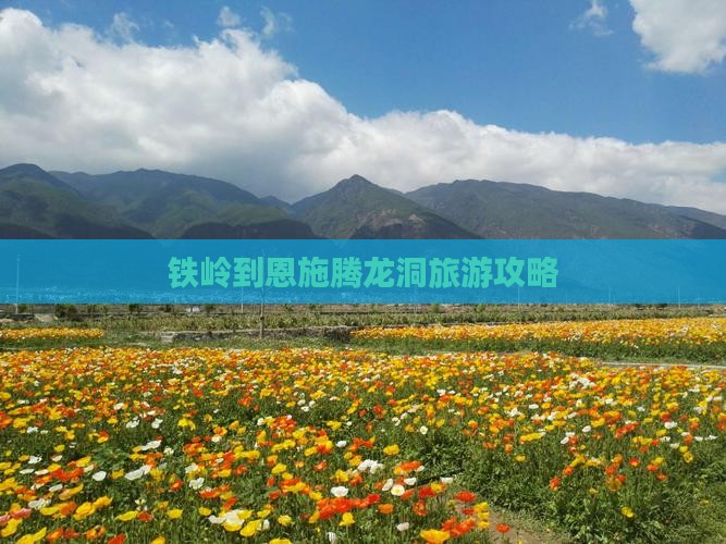 铁岭到恩施腾龙洞景点