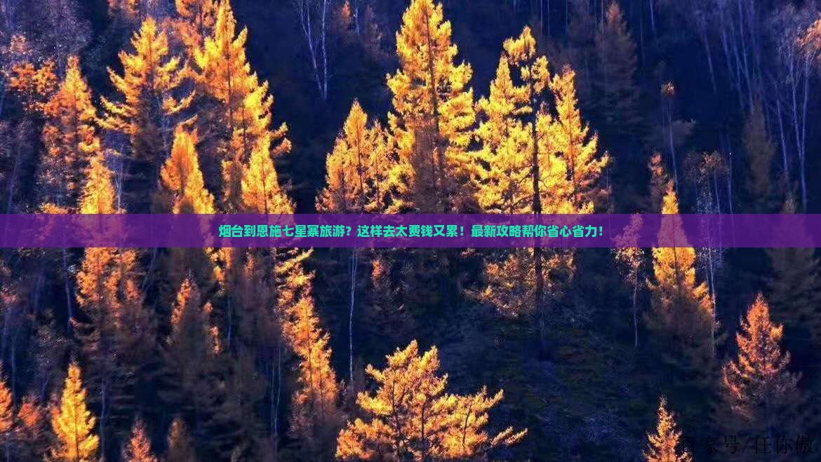 烟台到恩施七星寨旅游