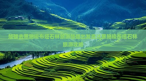 楚雄去恩施梭布垭石林旅游