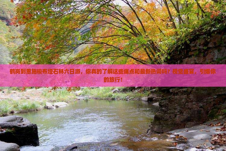 鹤岗到恩施梭布垭石林六日游
