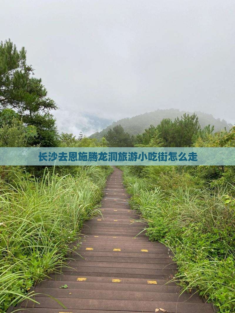 长沙去恩施腾龙洞旅游小吃