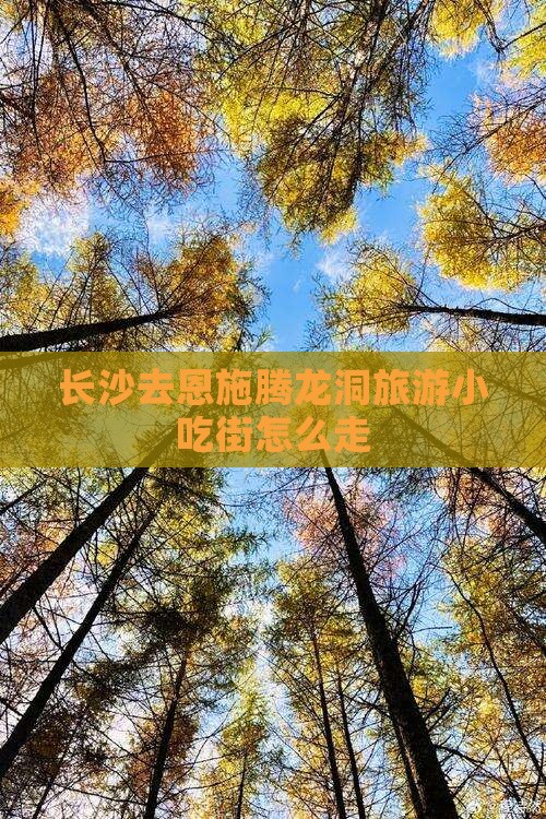长沙去恩施腾龙洞旅游小吃