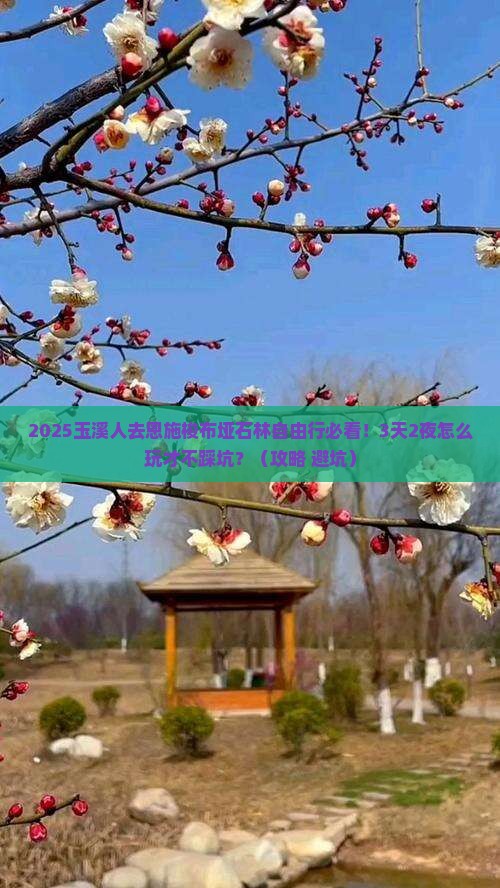 玉溪去恩施梭布垭石林自由行