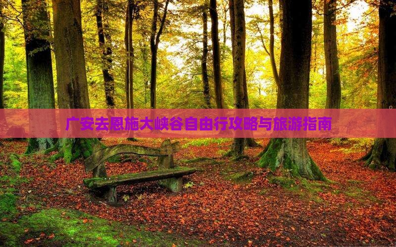 广安去恩施大峡谷自由行
