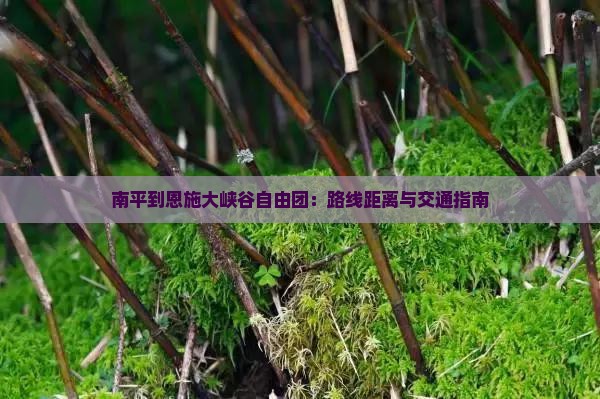 南平到恩施大峡谷自由团:路线距离与交通指南 南平到恩施大峡谷自由团:路线距离与交通指南