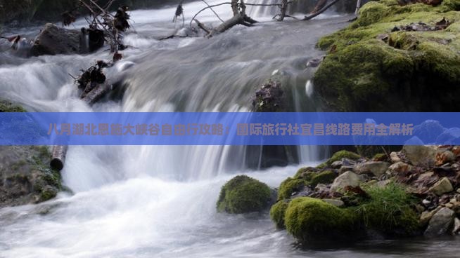 八月湖北恩施大峡谷自由行攻略：国际旅行社宜昌线路费用全解析