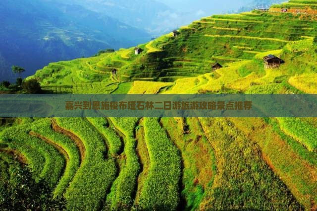 嘉兴到恩施梭布垭石林二日游旅游攻略景点推荐