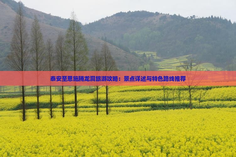 泰安至恩施腾龙洞旅游攻略：景点详述与特色路线推荐