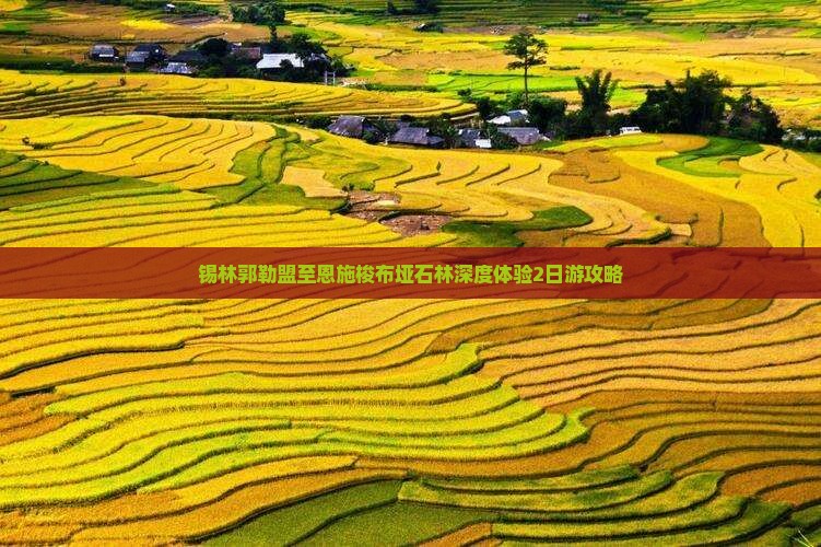 锡林郭勒盟至恩施梭布垭石林深度体验2日游攻略