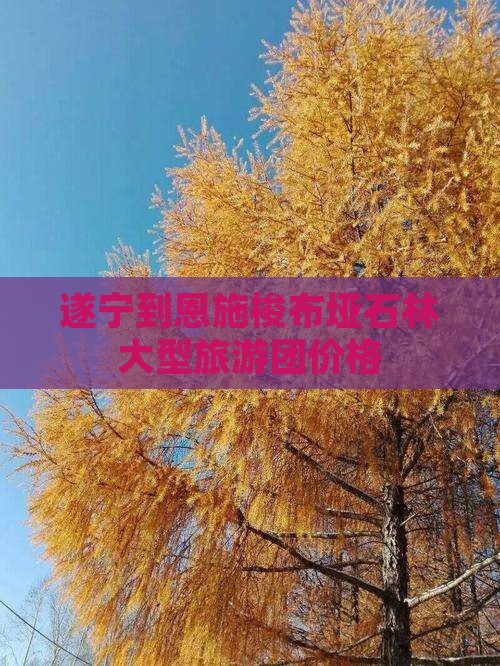 遂宁到恩施梭布垭石林大型旅游团价格