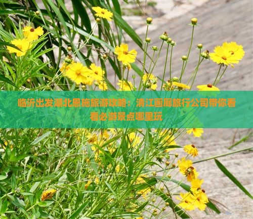 临沂出发湖北恩施旅游攻略：清江画廊旅行公司带你看看必游景点哪里玩