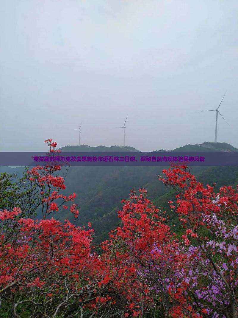 克孜勒苏柯尔克孜去恩施梭布垭石林三日游，探秘自然奇观体验民族风情