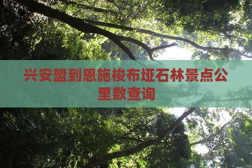 兴安盟到恩施梭布垭石林景点公里数查询