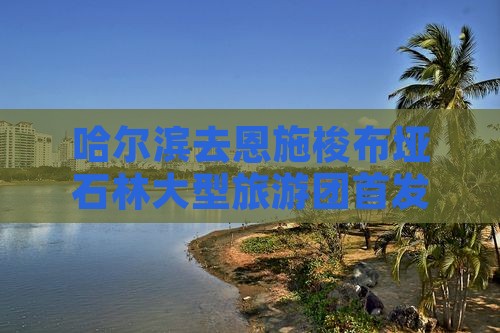 哈尔滨去恩施梭布垭石林大型旅游团首发
