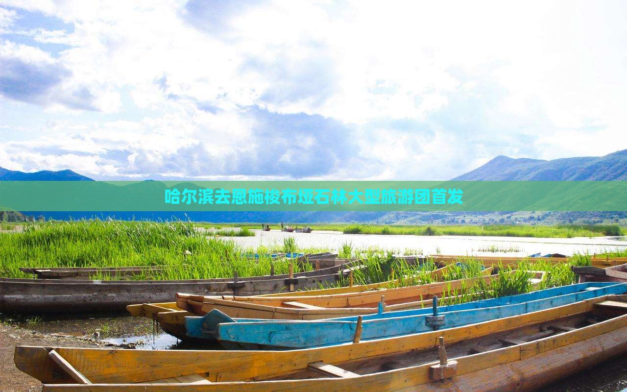哈尔滨去恩施梭布垭石林大型旅游团首发