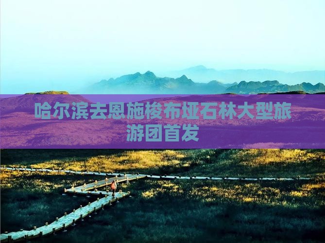 哈尔滨去恩施梭布垭石林大型旅游团首发