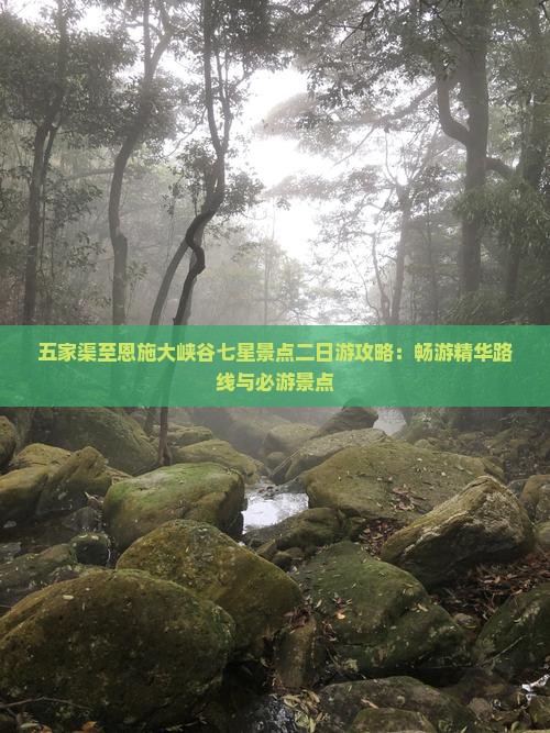 五家渠至恩施大峡谷七星景点二日游攻略：畅游精华路线与必游景点