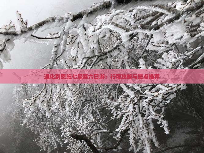 通化到恩施七星寨六日游：行程攻略与景点推荐