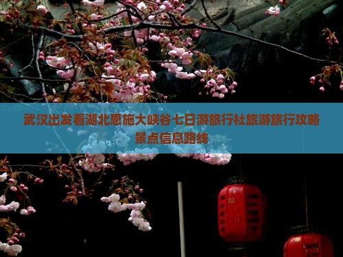 武汉出发看湖北恩施大峡谷七日游旅行社旅游旅行攻略景点信息路线