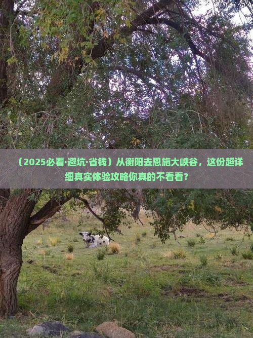 衡阳到恩施大峡谷景点