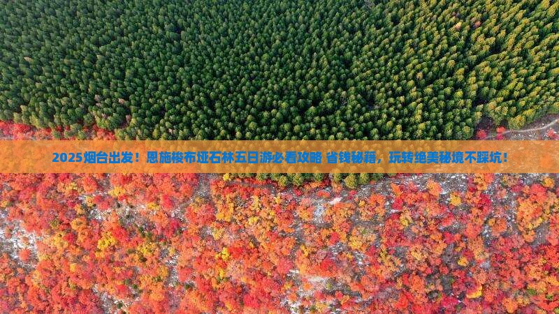 烟台到恩施梭布垭石林五日游
