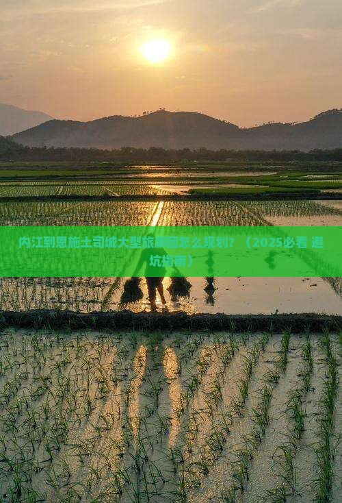 内江到恩施土司城大型旅游团