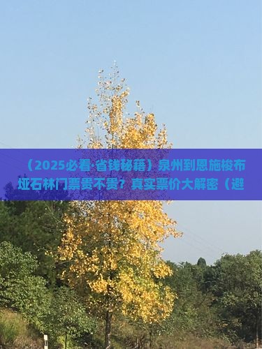 泉州到恩施梭布垭石林门票