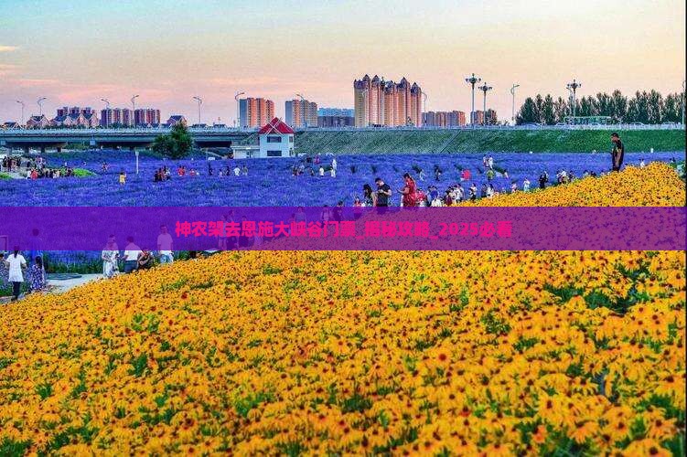 神农架去恩施大峡谷门票