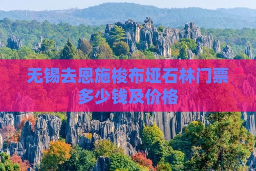 无锡去恩施梭布垭石林门票