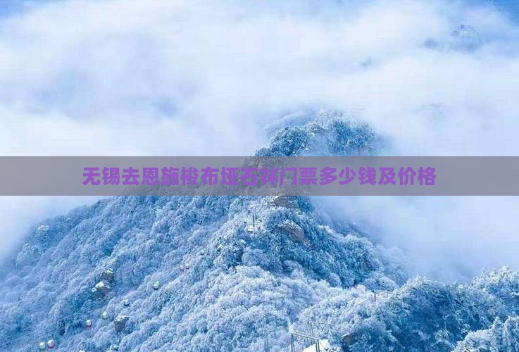 无锡去恩施梭布垭石林门票