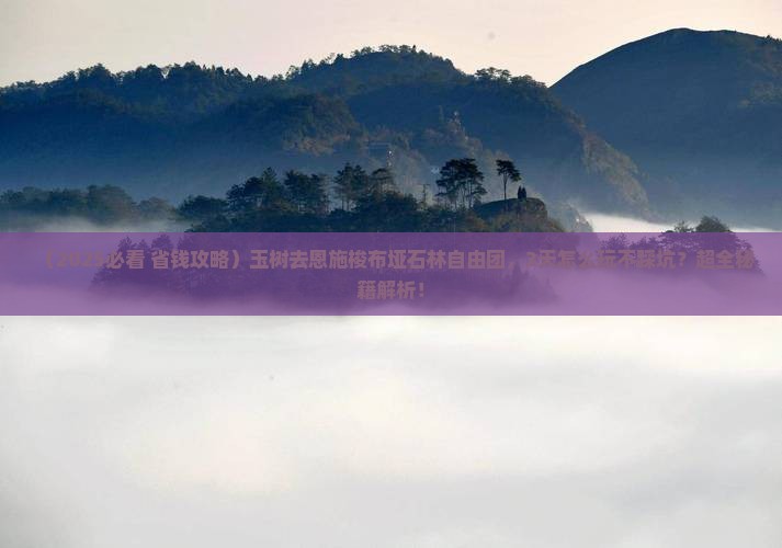 玉树去恩施梭布垭石林自由团
