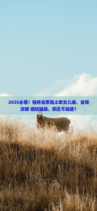 桂林去恩施土家女儿城景点